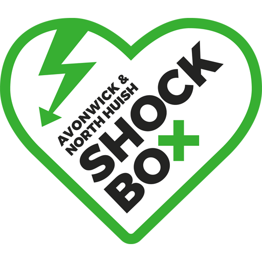 ANH-Shock-Box-RGB-med